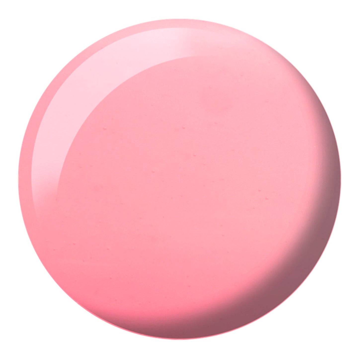 885 DND Rebel Rose
