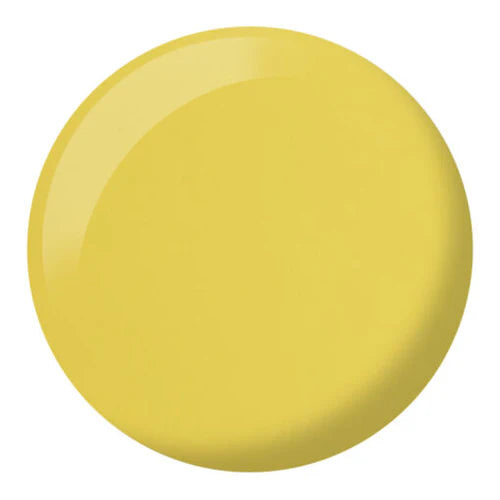 DND DC Duo 259 Glossy Stars