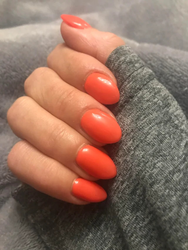 DND Duo 560 Orange Ville