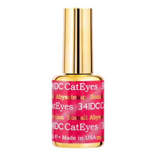 DND DC CAT EYES - SOMALI ABYSSINIAN 34